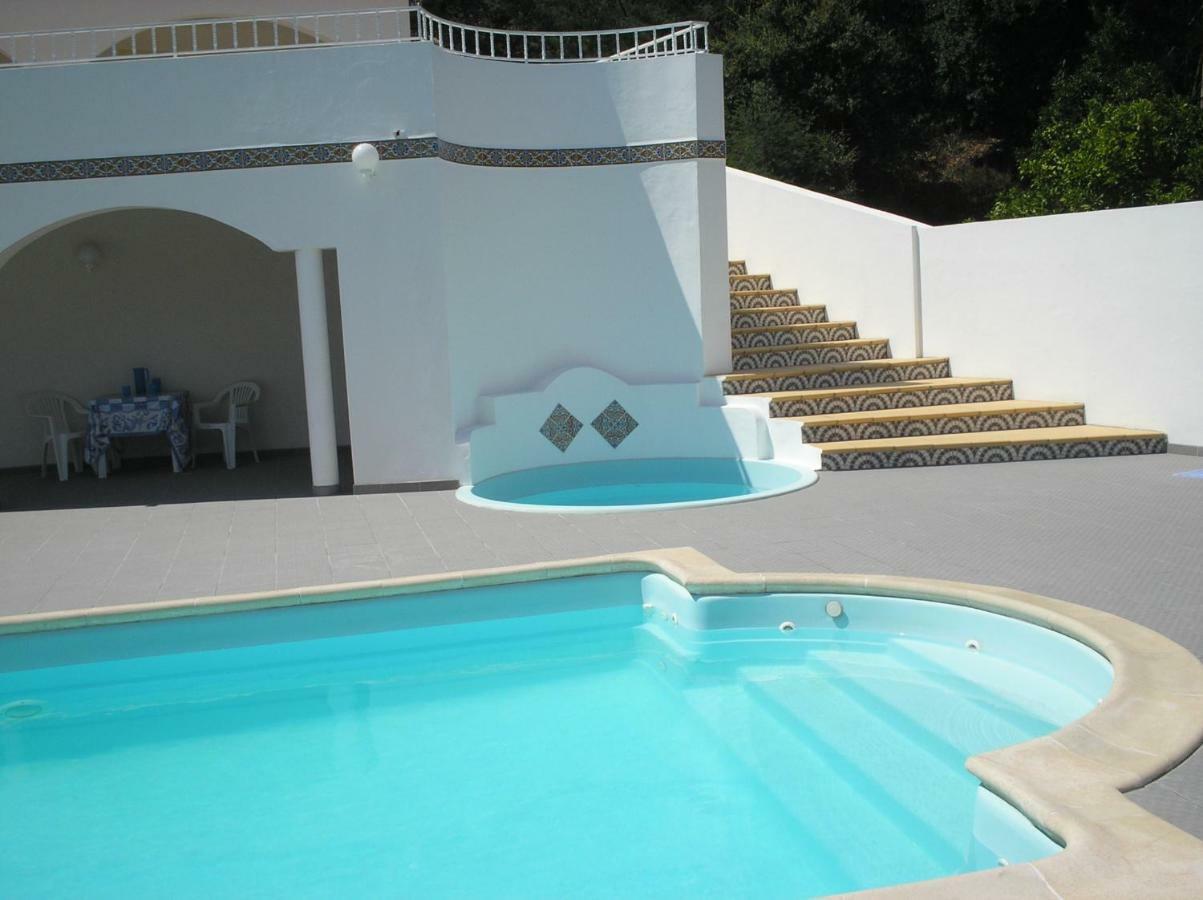 Vivenda Pirilampo Villa Vila Nova de Poiares Bagian luar foto
