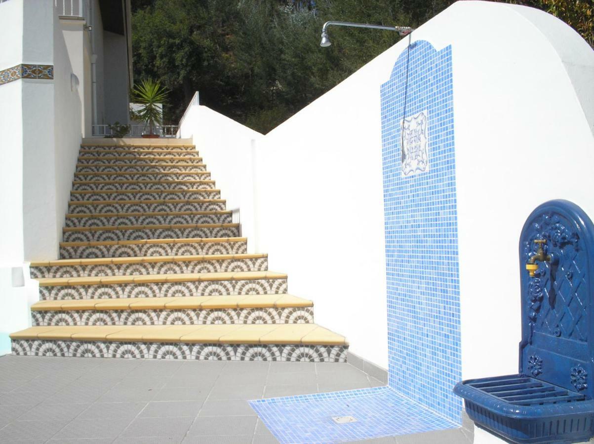 Vivenda Pirilampo Villa Vila Nova de Poiares Bagian luar foto